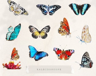 Watercolor Butterfly Clipart Collection, Watercolor Butterfly png, Butterfly Clip Art, Butterfly Illustration - Kaleidoscope