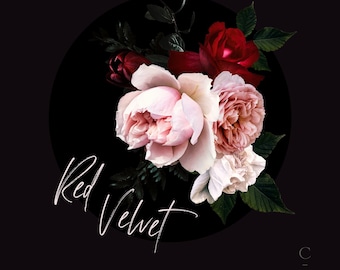 Real Flower Vintage Clip Art - Digital Floristry - Digital Art - Floral Clipart - Peony png - Retro Florals - Red Velvet - Create the Cut