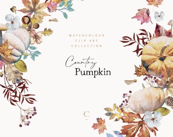 Watercolor Pumpkin Clipart, Country Pumpkin Collection, Pumpkin Clipart, Fall Pumpkin, Pumpkin Illustration, Watercolor Fall, Autumn Pumpkin