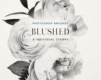 8 pincéis florais para Photoshop - Selos para Photoshop - Selos para flores - Pincéis para Photoshop - Uso comercial - Rosa - Ranúnculo - arquivo abr - Corado