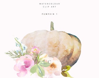 Watercolor Pumpkin Clipart, Floral Pumpkin Collection, Pumpkin Clipart, Fall Pumpkin, Pumpkin Illustration, Watercolor Fall, Autumn Pumpkins