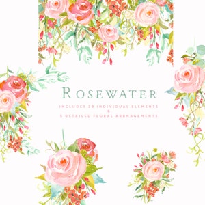 Rosewater Watercolour Flower Clip Art Collection Hand-Painted Graphics Pink Cabbage Roses Lilies Poppies Create the Cut image 3