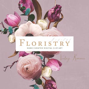 May include: A bouquet of pink, white, and purple flowers with green leaves. The flowers are arranged in a vase and the background is a light pink color. The text "FLORISTRY Digital Hand Curated Digital Clip Art Vintage Romance" is displayed on a white rectangle.