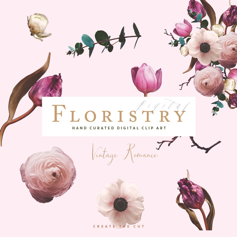 May include: A digital clip art collection featuring vintage romance floral illustrations. The collection includes pink, white, and purple flowers, eucalyptus leaves, and branches. The text "Floristry Digital Clip Art" and "Vintage Romance" is displayed in a gold script font.