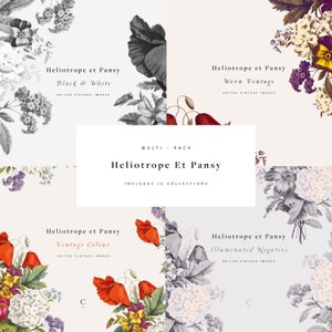 Heliotrope et Pansy Multi-Pack | Botanical Clip Art and Graphics | Pansies | Red Poppies | Purple Daisies | Blue Cosmos | Create the Cut