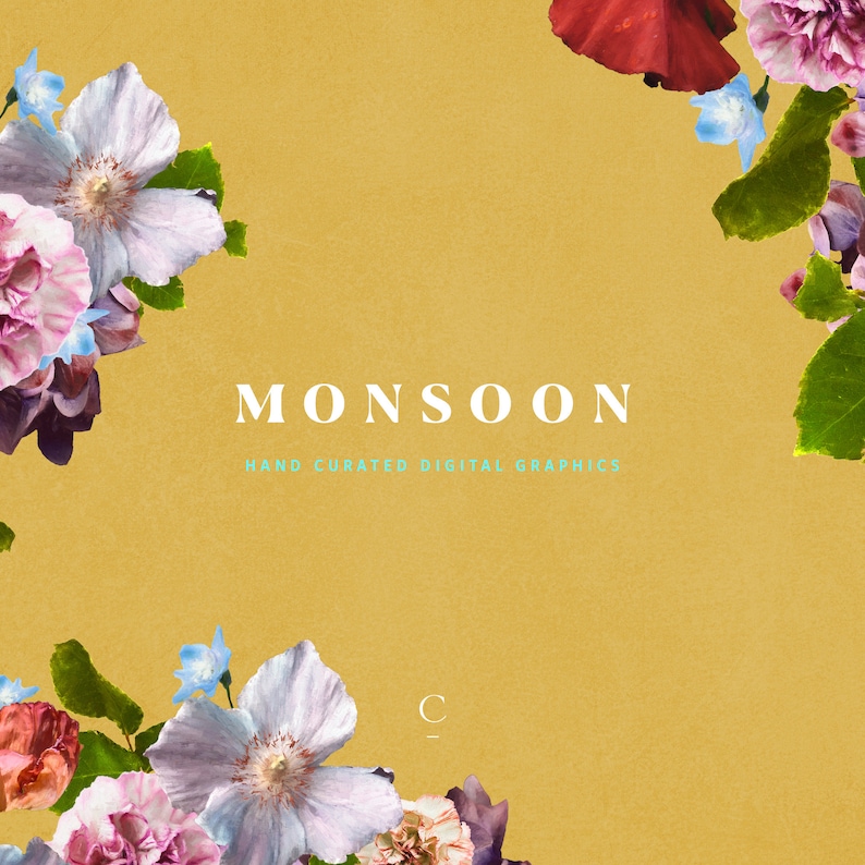 Pode incluir: Um fundo amarelo com uma borda floral. O texto "MONSOON" est&aacute; no centro da imagem. Abaixo do texto est&aacute; a frase "HAND CURATED DIGITAL GRAPHICS".