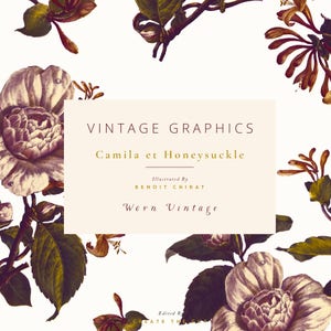Camila et Honeysuckle Worn Vintage Vintage Clip Art & Graphics Worn White Magnolia Trumpet Honeysuckle Foliage Create the Cut image 3