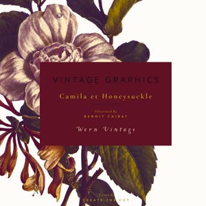 Camila et Honeysuckle Worn Vintage Vintage Clip Art & Graphics Worn White Magnolia Trumpet Honeysuckle Foliage Create the Cut image 4