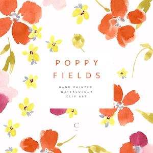 | de Poppy Fields Aquarelle peinte à la main Fleur Clip Art | | de pavots de maïs Primevères jaunes | Wispy Stalks | Créer la coupe