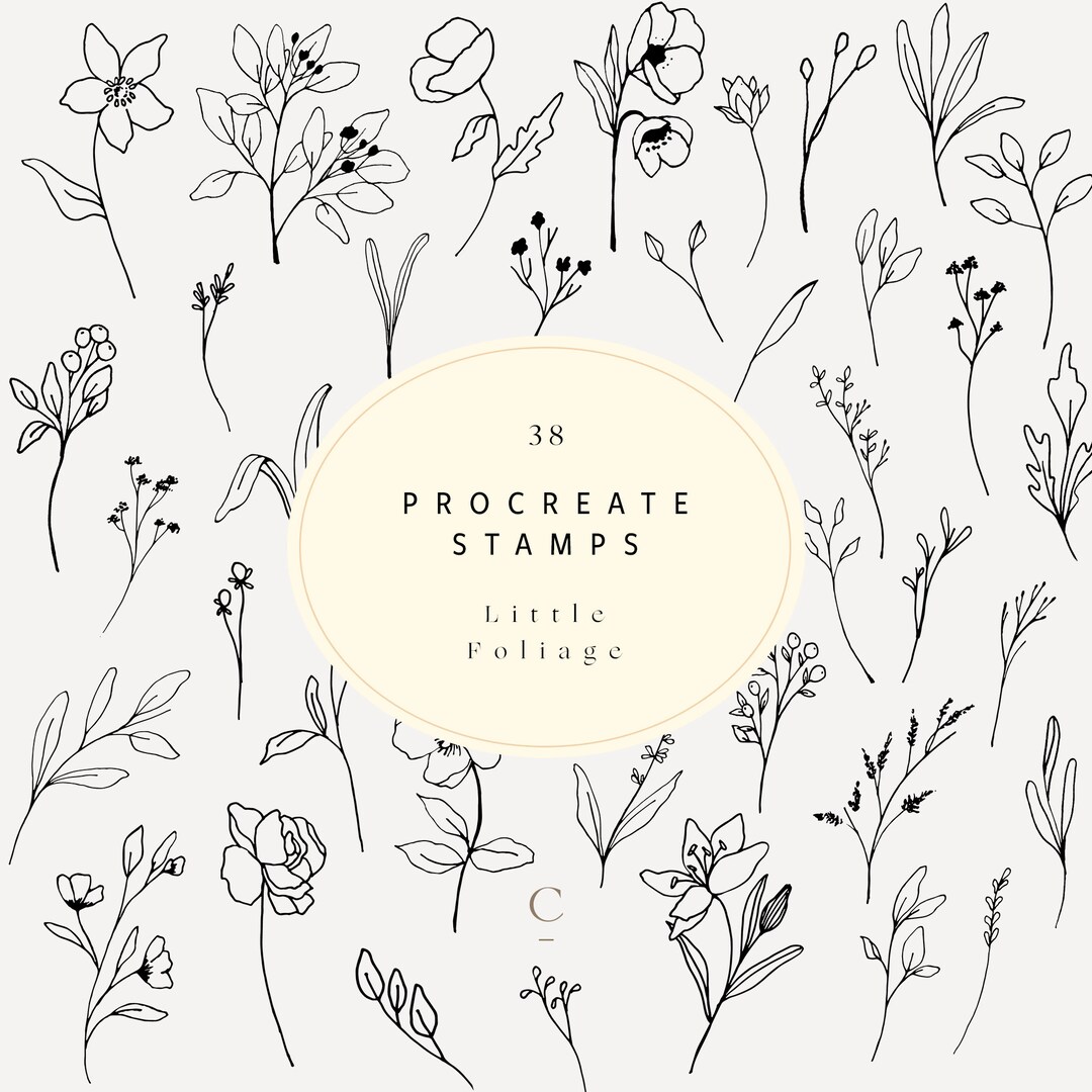 38 Hand Drawn Procreate Flower & Foliage Brushes - Procreate Botanical ...