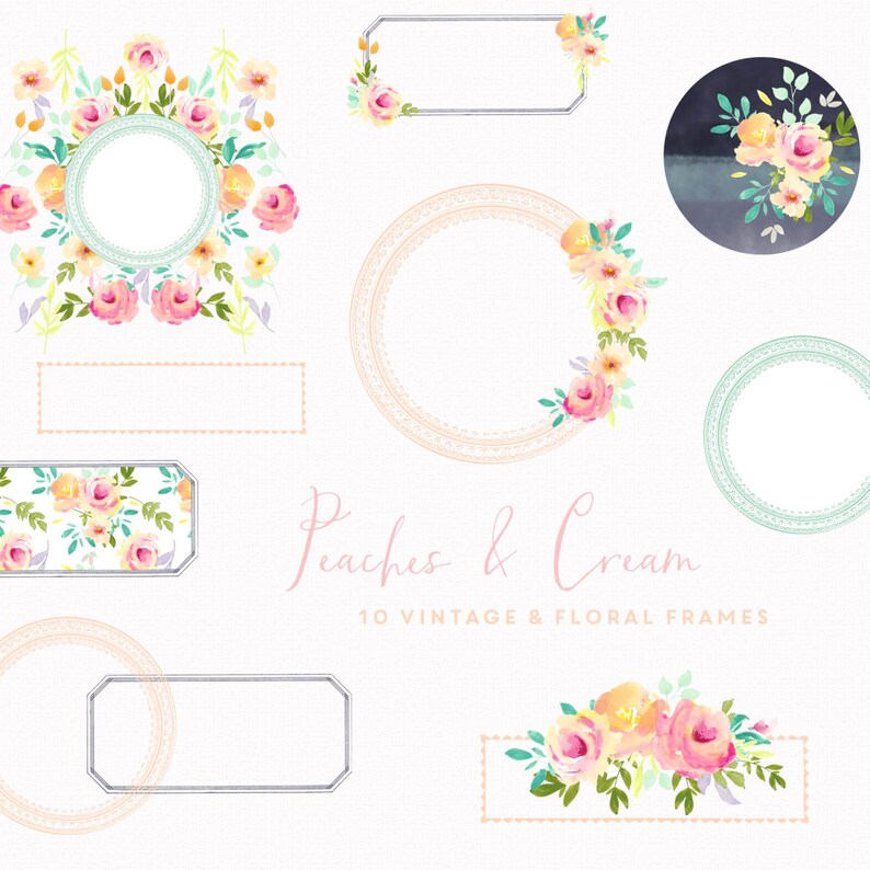 Peaches and Cream Design Kit Flower Watercolour Clip Art Etsy