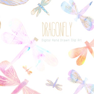 Dragonfly | Illustrations | Hand-Painted Digital Clip Art | Hand Drawn Dragonflies | Create the Cut