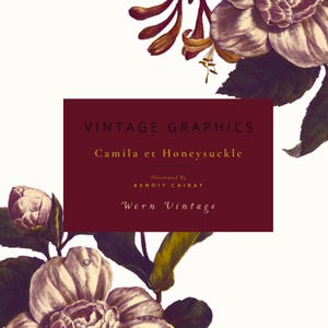 Camila et Honeysuckle Worn Vintage Vintage Clip Art & Graphics Worn White Magnolia Trumpet Honeysuckle Foliage Create the Cut image 2