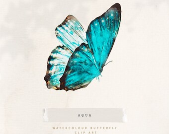 Aqua Watercolor Butterfly Clipart, Watercolor Butterfly png, Butterfly Clip Art, Butterfly Illustration, Floral Butterfly