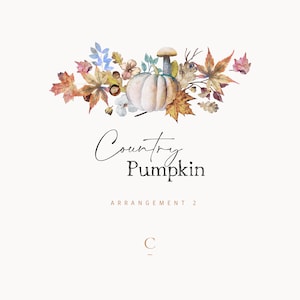 Autumn Watercolor Fall Clipart Arrangement 2, Watercolor Wreath Autumn Clipart, Watercolor Pumpkin, Fall Wedding, Country Clipart, Acorn png