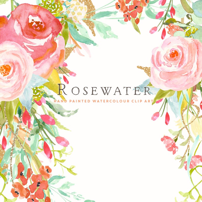 Rosewater Watercolour Flower Clip Art Collection Hand-Painted Graphics Pink Cabbage Roses Lilies Poppies Create the Cut image 1