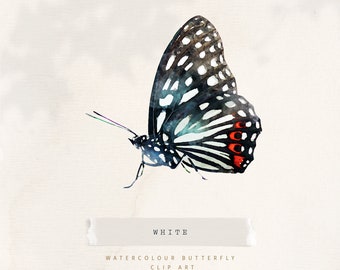 White Watercolor Butterfly Clipart, Watercolor Butterfly png, Butterfly Clip Art, Butterfly Illustration, Floral Butterfly