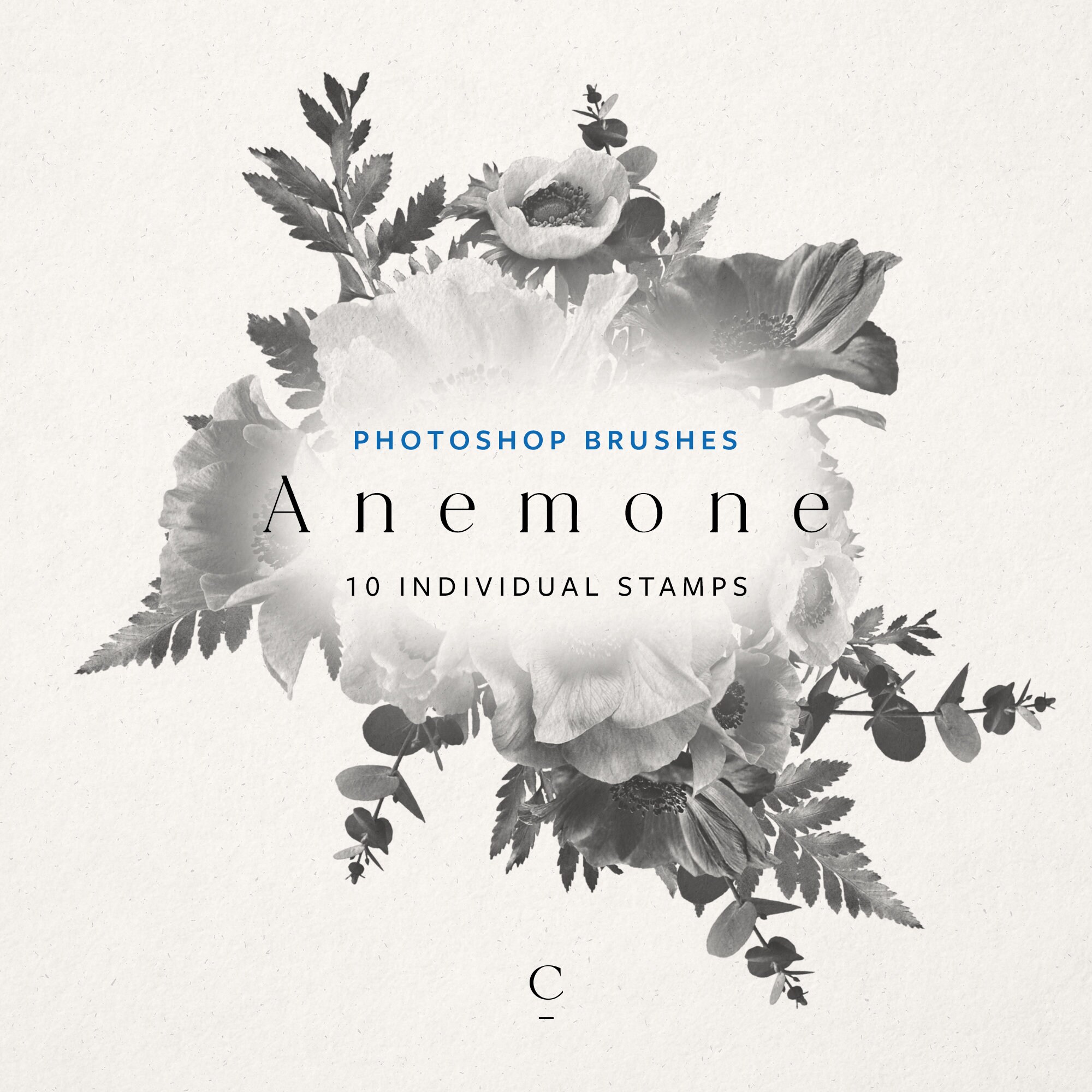 Photoshop - 40 Flower Stamps/ Brushes Graphic by AnnaDigitalStudio