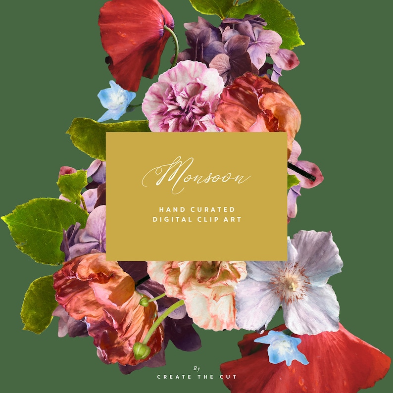 Pode incluir: Uma cole&ccedil;&atilde;o de imagens digitais chamada "Monsoon" que apresenta ilustra&ccedil;&otilde;es de flores coloridas, incluindo papoulas vermelhas, cravos rosa e hort&ecirc;nsias roxas, feitas &agrave; m&atilde;o.
