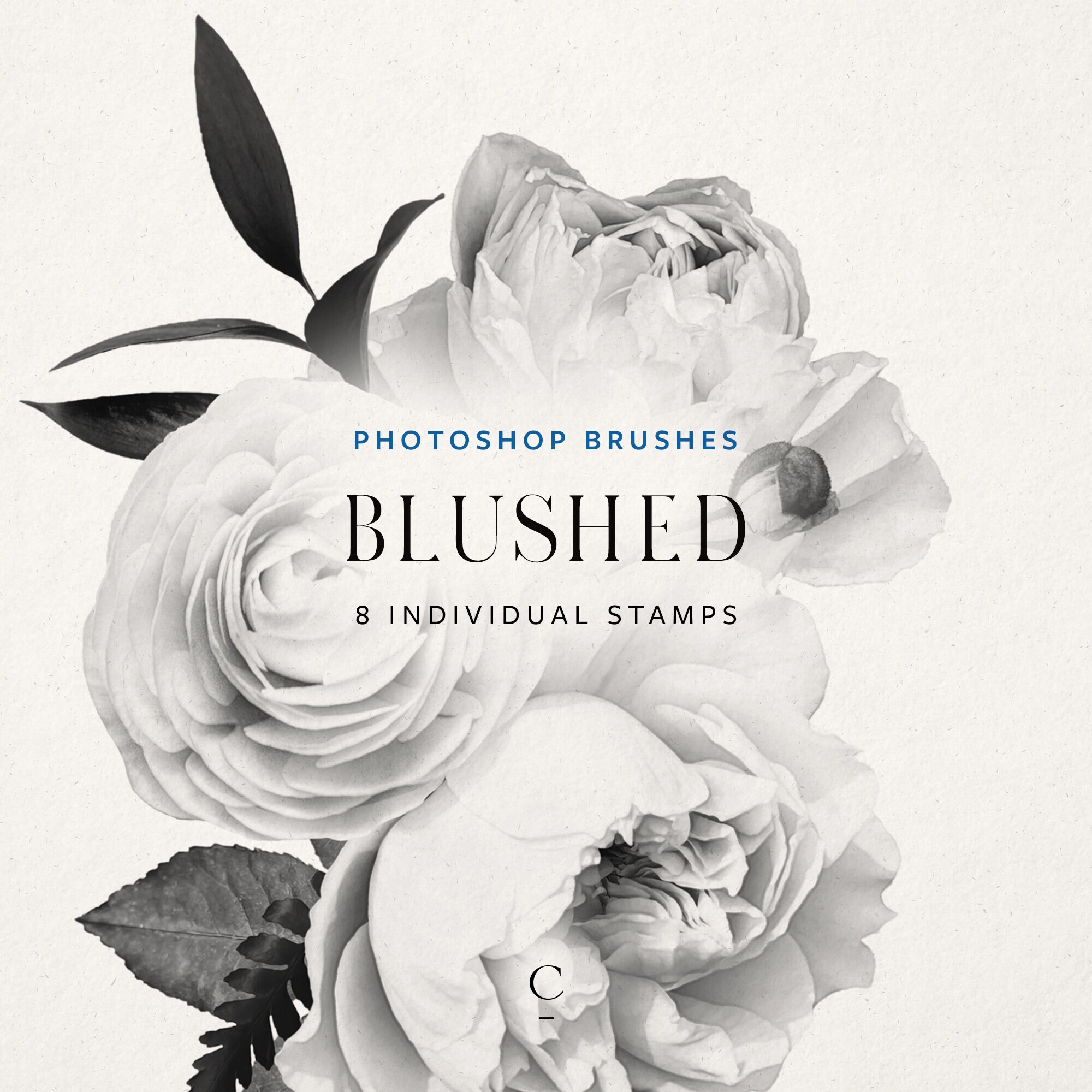 Photoshopブラシコレクション Photoshopブラシコレクション | ハンス バッハー |本 | 通販