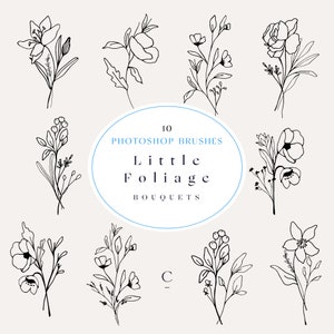 10 Photoshop Stamps - Botanical Photoshop Brushes - Floral Bouquets - Flower Arrangements - Photoshop Brush - Little Foliage Bouquets