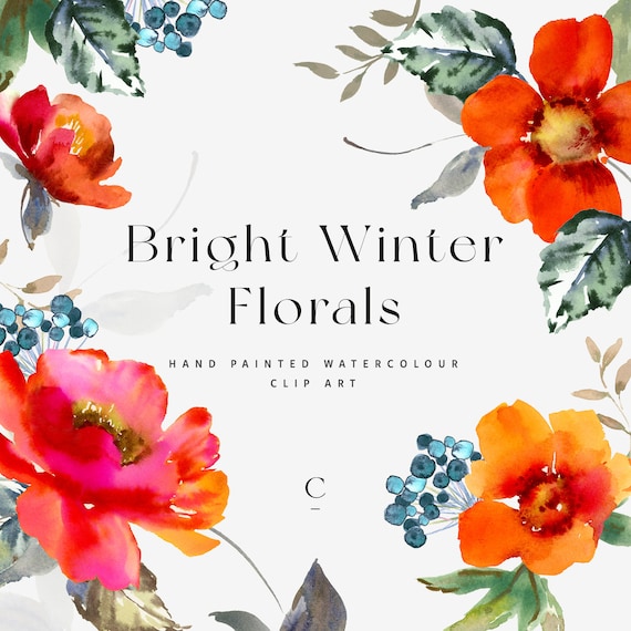 Bright Winter Florals, Watercolor Winter Floral Clipart, Winter