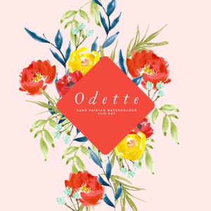 Odette | Aquarelle de fleur Clip Art | | graphiques peints à la main Coquelicots rouges et jaunes | Coquelicots sarcelles de l’Himalaya | Hosta laisse | Créer la coupe