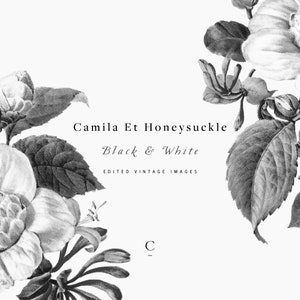 Camila et Honeysuckle Black & White | Botanical Clip Art and Graphics | Little Gem White Magnolia | Trumpet Honeysuckle | Create the Cut
