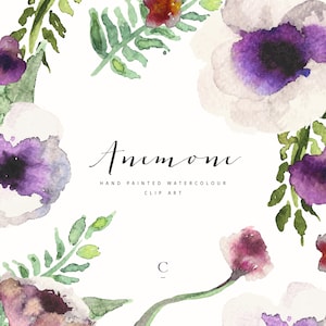 Anemone / Fiori acquerelli / Clip Art dipinta a mano / Viola e crema Viola viola / Rosa Anemone e Bocciolo / Fiore bicolore / Crea il taglio