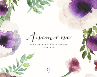 Anemone | Watercolour Flowers | Hand-Painted Clip Art | Violet & Cream Pansy | Pink Anemone and Bud | Bicolour Flower | Create the Cut
