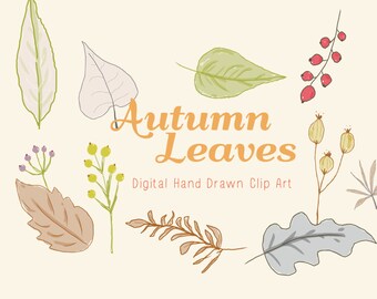 Autumn Leaves - Digital Hand Drawn Clip Art