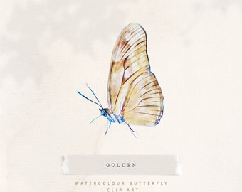 Golden Watercolor Butterfly Clipart, Watercolor Butterfly png, Butterfly Clip Art, Butterfly Illustration, Floral Butterfly