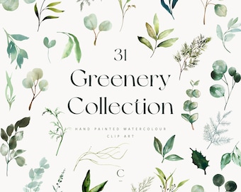 May include: A collection of 31 hand-painted watercolor greenery clip art illustrations. The illustrations feature various types of leaves, branches, and sprigs in shades of green.