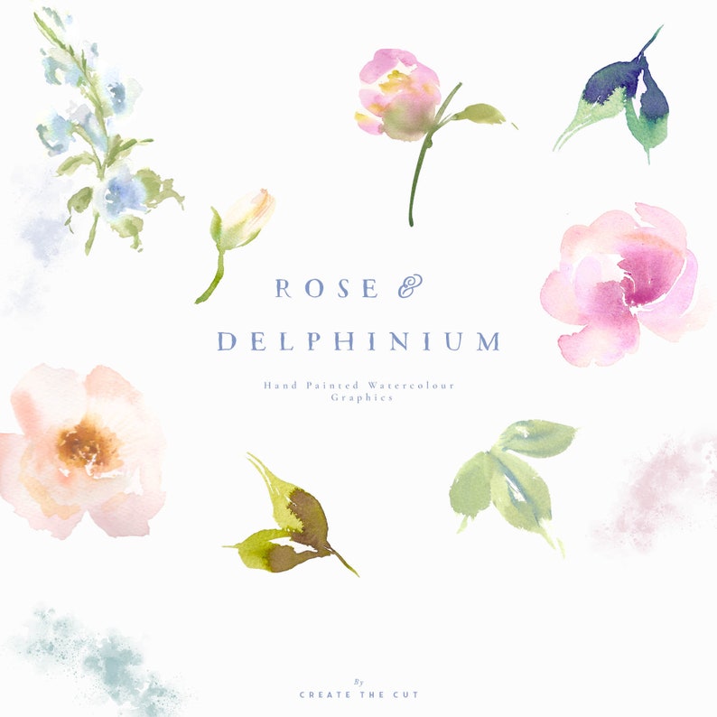 Rose /& Delphinium Hand Painted Watercolour Spring Flower Clipart