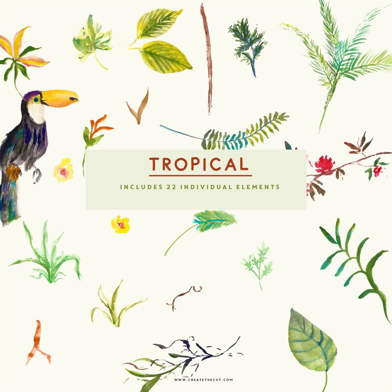 May include: A watercolor illustration of tropical plants and a toucan. The illustration includes 22 individual elements and the text "TROPICAL INCLUDES 22 INDIVIDUAL ELEMENTS WWW.CREATETHECUT.COM".