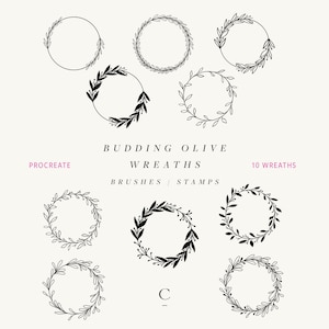 Hand Drawn Procreate Wreath Brushes - Procreate Garland Stamps - Olive Wreath Procreate Stamps - Flower Procreate Brush - Budding Olive