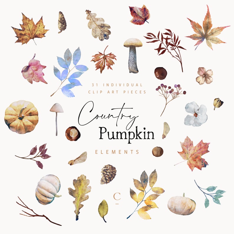 Autumn Watercolor Fall Clipart Collection, Watercolor Wreath Arrangement, Country Pumpkin, Wedding Fall, Rusty Fall Leaves, Woodland png Art image 4
