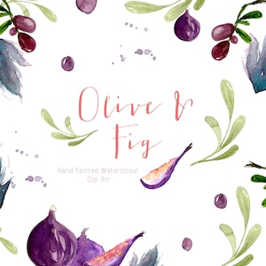 Olive and Fig | Illustrations | Watercolour Clip Art | Olive Wreath | Black Olives | Ripe Figs | Create the Cut