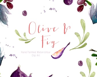 Olive and Fig | Illustrations | Watercolour Clip Art | Olive Wreath | Black Olives | Ripe Figs | Create the Cut