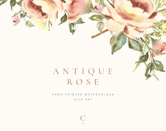 Antique Rose | Hand-Painted Watercolour Floral Clip Art | Vintage Rose | Vintage Rosebud & Stem | Dusky Peach Rose | Create the Cut