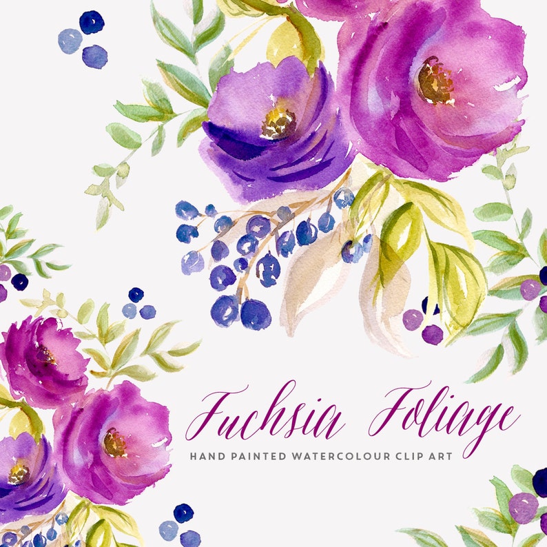 May include: Watercolor clip art featuring fuchsia flowers and foliage. The flowers are a vibrant pink and purple, with green leaves and blue berries. The text "Fuchsia Foliage" is written in a cursive font below the flowers.