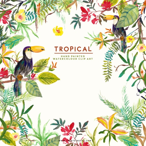 Hand Painted Watercolor Clip Art - Digital Art - Tiger Lily Clipart - Tropical Clipart - Commercial Use Clipart - Toucan PNG - Tropical