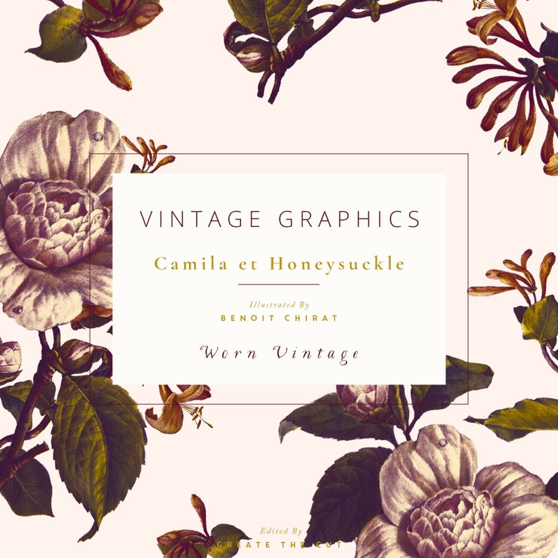 Camila et Honeysuckle Worn Vintage Vintage Clip Art & Graphics Worn White Magnolia Trumpet Honeysuckle Foliage Create the Cut image 6