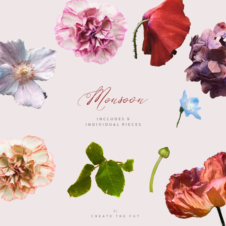 Pode incluir: Um download digital de 9 ilustra&ccedil;&otilde;es florais individuais, incluindo uma papoula vermelha, um cravo rosa, uma flor azul, uma hort&ecirc;nsia roxa e uma folha verde. As ilustra&ccedil;&otilde;es s&atilde;o em estilo aquarela e s&atilde;o perfeitas para criar projetos digitais ou impressos. O texto "Monsoon" e "Includes 9 Individual Pieces" tamb&eacute;m est&aacute; inclu&iacute;do na imagem.