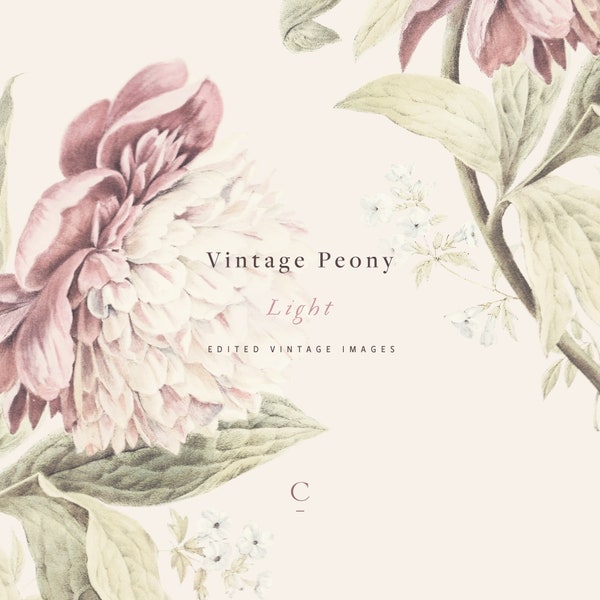 Vintage Peony Light | Botanical Style Clip Art and Graphics | Peonies | Virginia Bluebells | Canna Leaves | Create the Cut