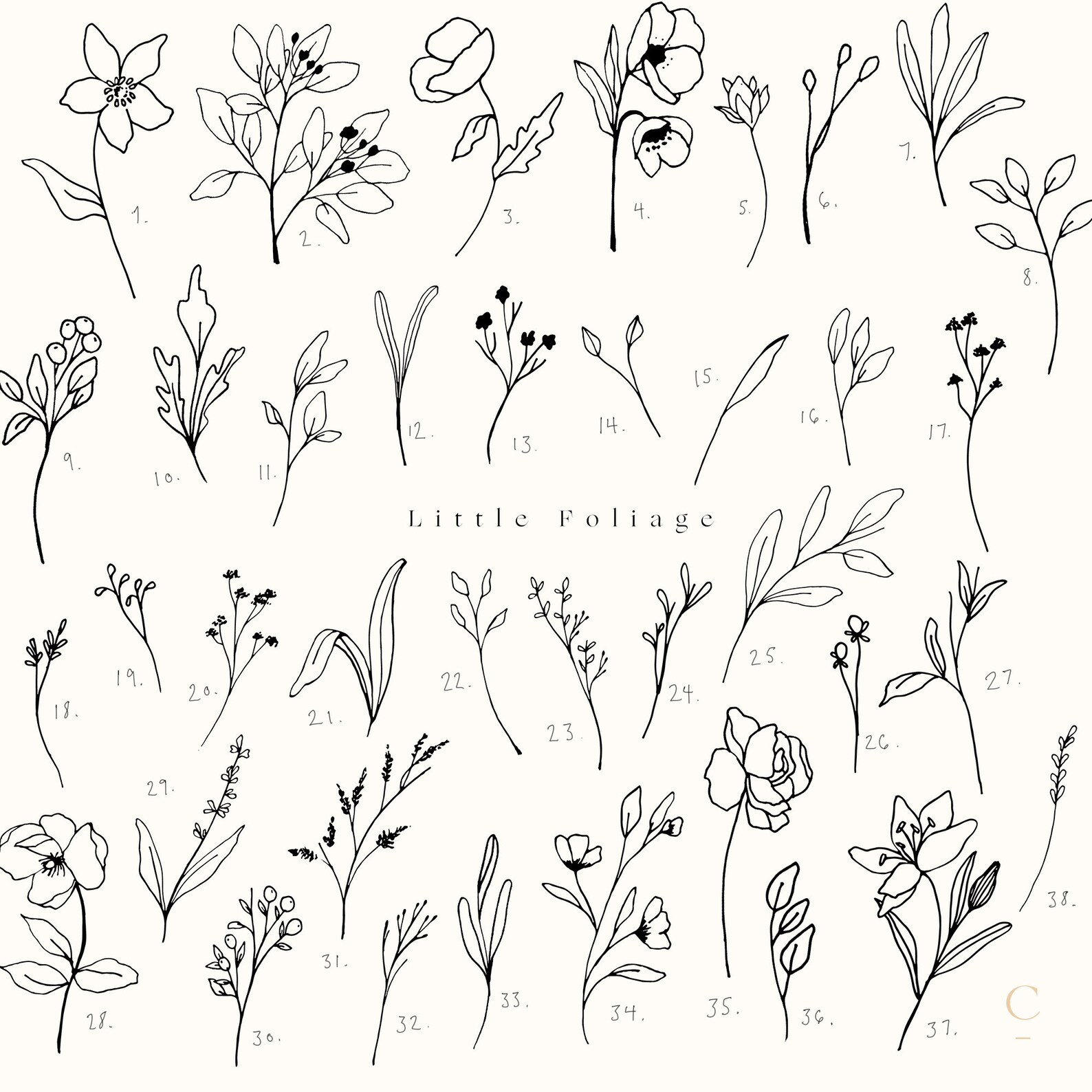 Floral SVG Files For Cricut Flowers SVG Foral Line Clipart Etsy