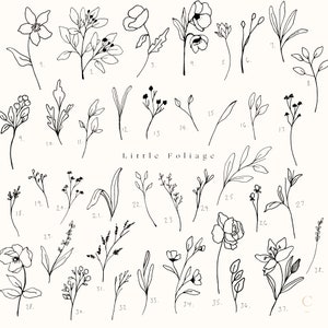 38 Hand Drawn Procreate Flower & Foliage Brushes Procreate | Etsy