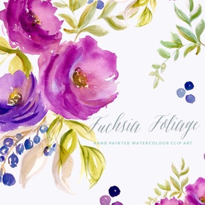 May include: Watercolor painting of fuchsia flowers and foliage. The flowers are a mix of purple and pink, and the foliage is green. The painting is titled "Fuchsia Foliage" and says "Hand Painted Watercolour Clip Art".