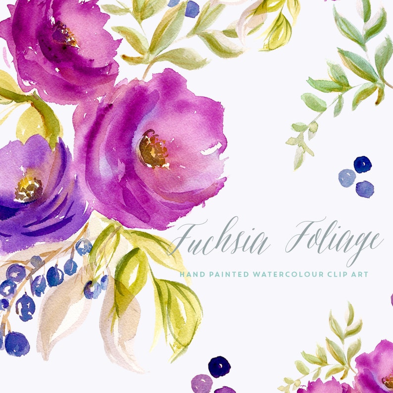 May include: Watercolor painting of fuchsia flowers and foliage. The flowers are a mix of purple and pink, and the foliage is green. The painting is titled "Fuchsia Foliage" and says "Hand Painted Watercolour Clip Art".