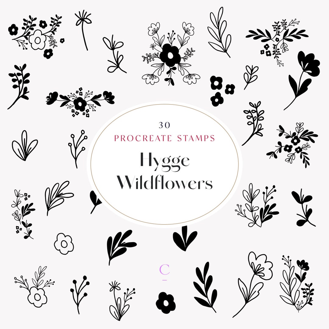 30 Hand Drawn Procreate Wildflower & Foliage Brushes - Procreate ...